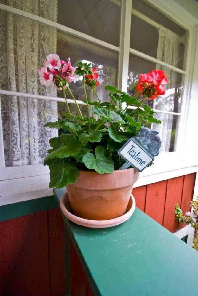 Volcano Teapot Cottage Zewnętrze zdjęcie